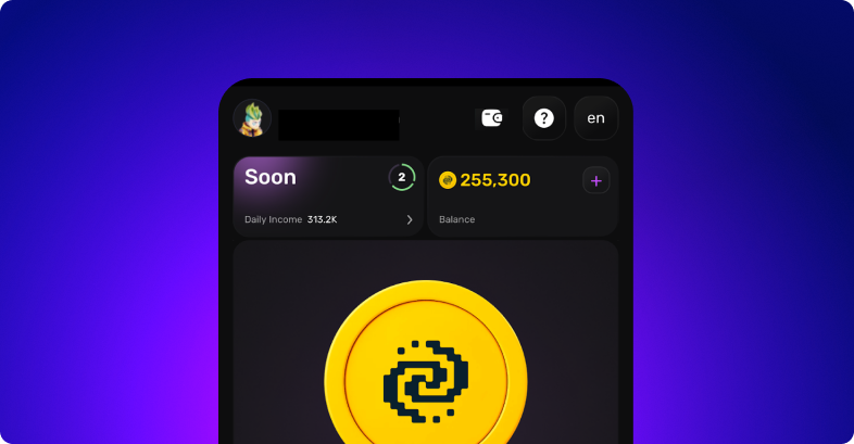 Mobile app screen displaying a balance of 255,300 with a gold coin icon.
